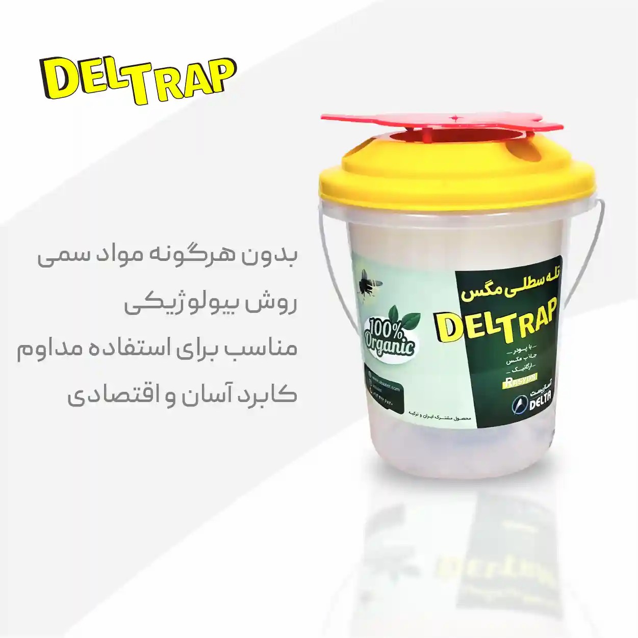 تله سطلی مگس